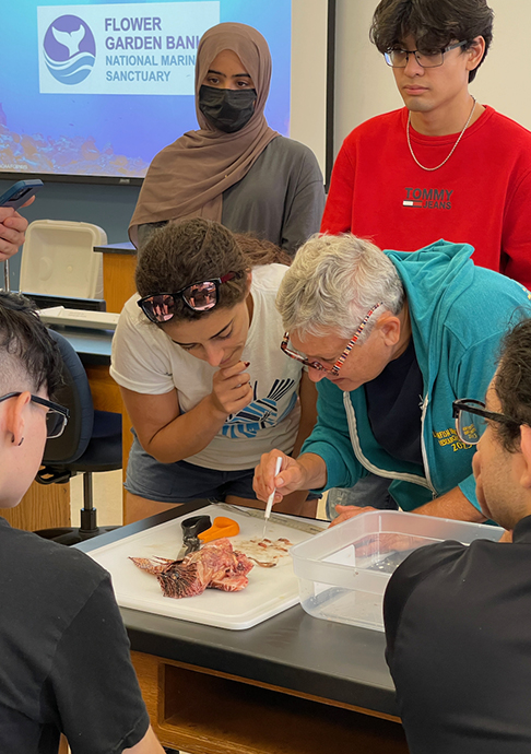 Students watch as instructor dissects Lionfish. 