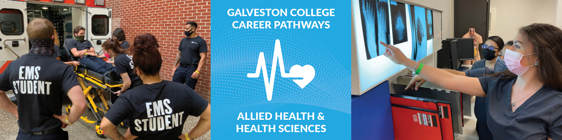 Allied Health and Health Services Pathway