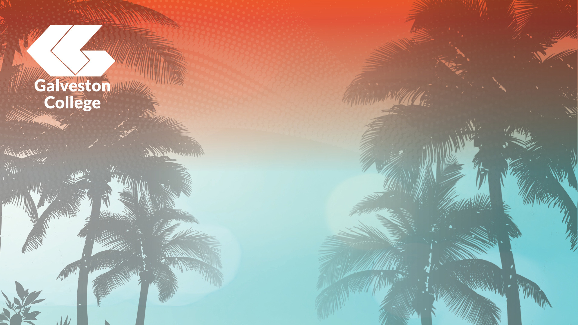 Orange and Aqua palm tree zoom background