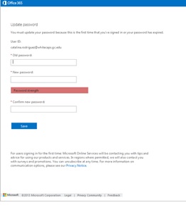 Office 365 Password